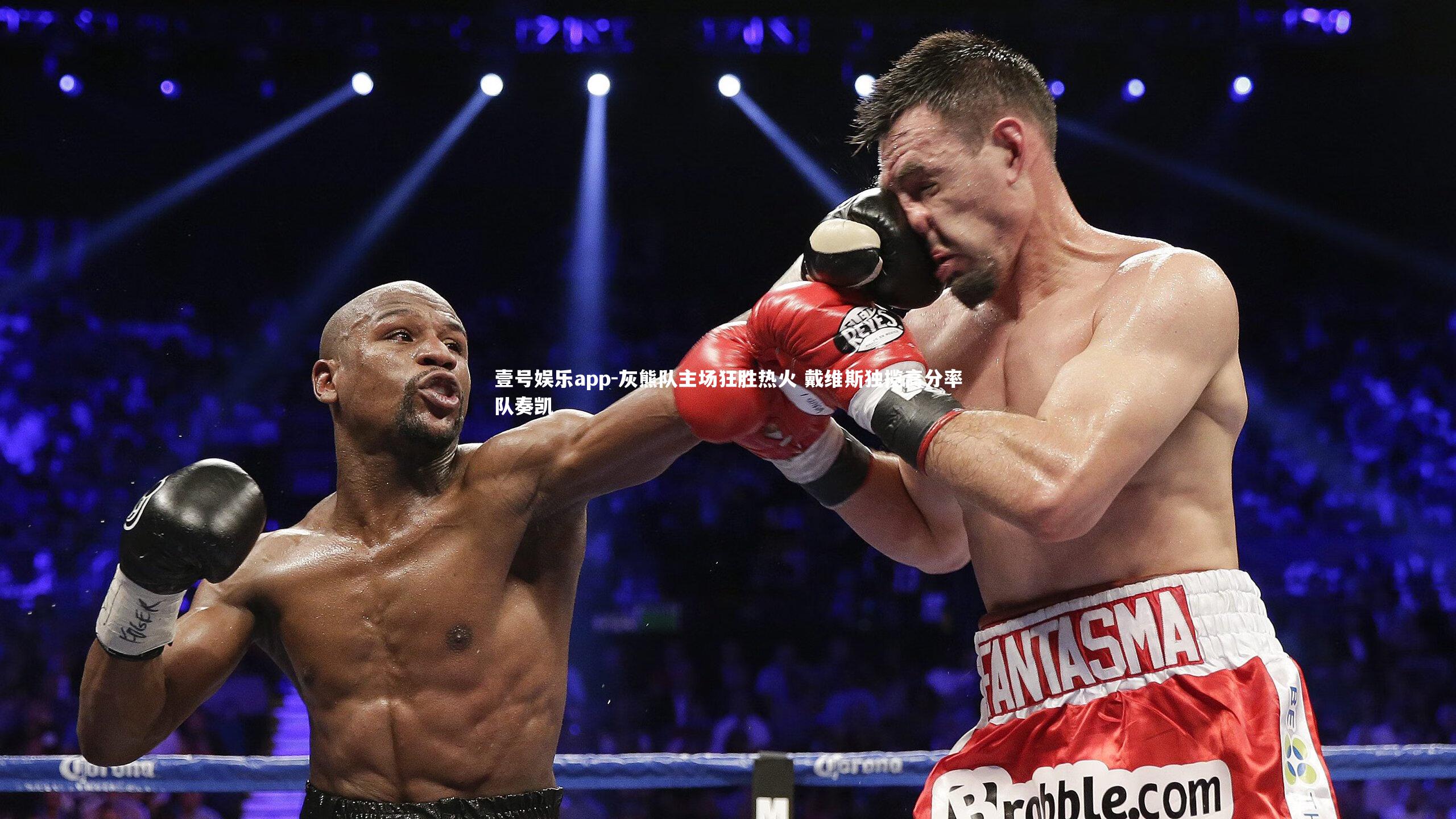 灰熊队主场狂胜热火 戴维斯独揽高分率队奏凯