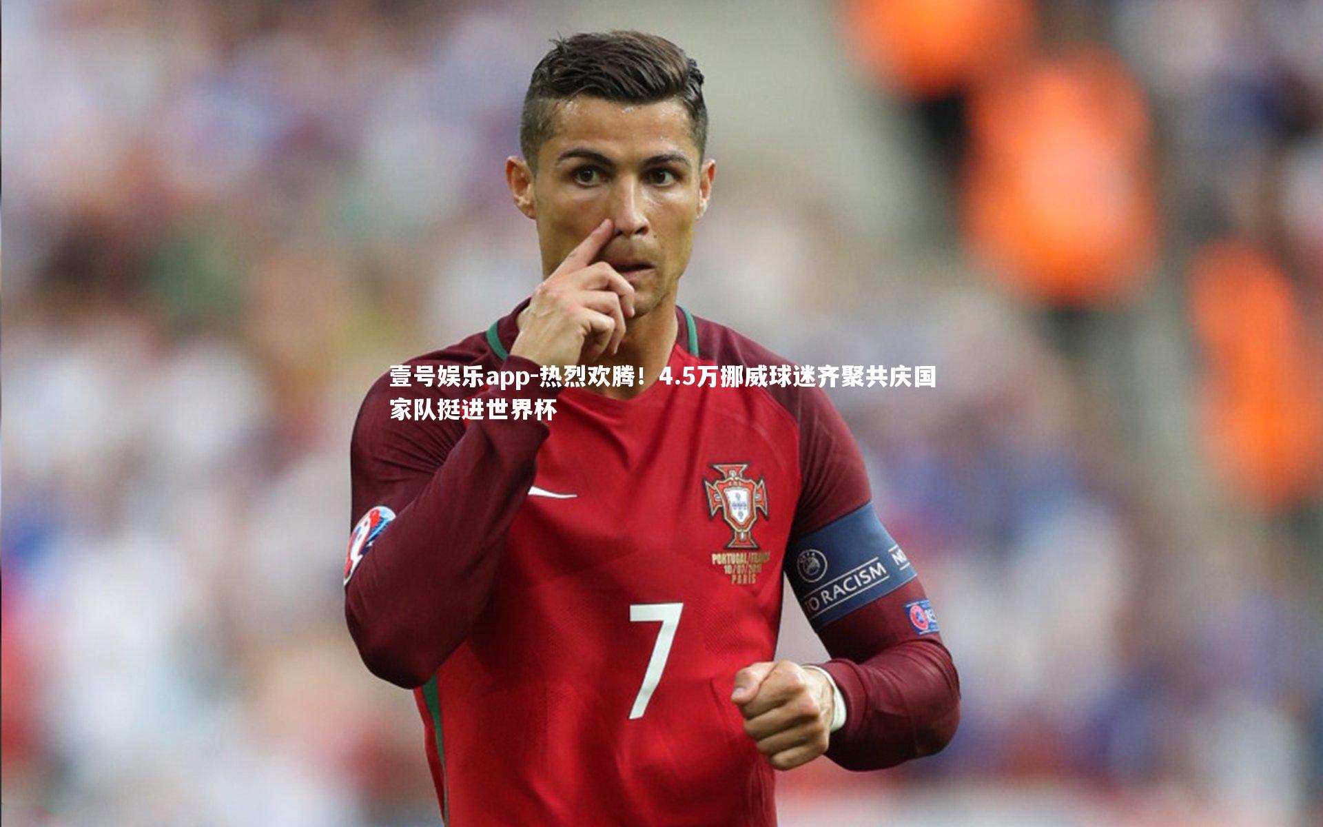 热烈欢腾！4.5万挪威球迷齐聚共庆国家队挺进世界杯